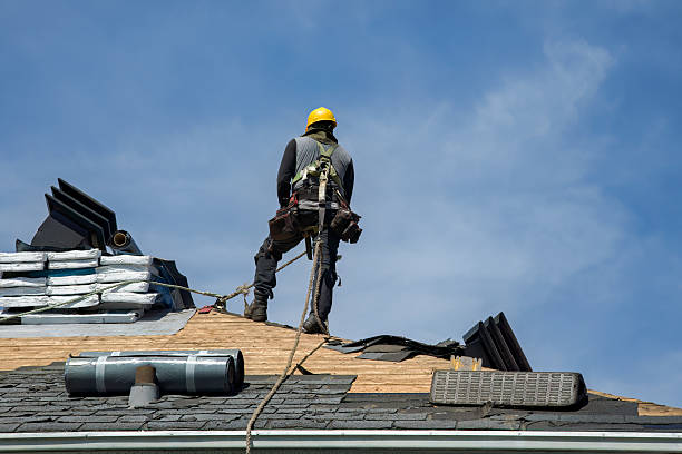 Professional Roofing technician working in Randall, MN